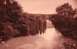 Bétharram - Le Curieux Pont Sur Le Gave De Pau - Lestelle-Bétharram