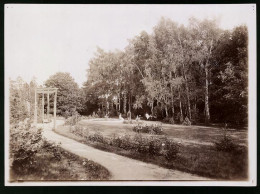 Fotografie Brück & Sohn Meissen, Ansicht Meissen I. Sa., Partie Im Park Des Gut Bohnitzsch  - Plaatsen