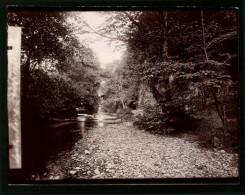 Fotografie Brück & Sohn Meissen, Ansicht Bad Lauterberg, Partie Am Fluss Des Philosophenweg  - Lieux