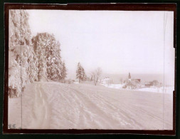 Fotografie Brück & Sohn Meissen, Ansicht Schellerhau, Partie Am Waldesrand Mit Blick Auf Die Stadt Im Tiefen Winter  - Lieux