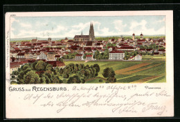 Lithographie Regensburg, Panoramablick Auf Die Stadt  - Regensburg