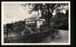 AK Pulsnitz I. Sa., Restaurant Und Cafe Waldhaus  - Pulsnitz