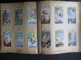 STOLLWERCK Sammelbilderalbum Nr. 2 Jugendstil Art Nouveau Album 1898 In Guter - Albums & Catalogues