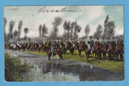 1172 ITALY ITALIA GUADO HORSES RARE POSTCARD - Gorizia