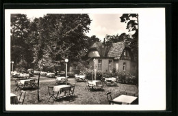 AK Berlin-Dahlem, Gaststätte Holstein, Clayallee 121, Gartenansicht  - Dahlem