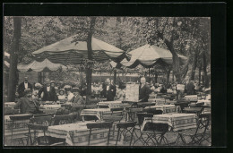 AK Berlin, Konzertpark Des Friedrich-Wilhelmstädtischen Schauspielhauses, Chausseestr. 30  - Mitte