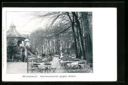 AK München-Schwabing, Cafe Milchhäusl, Gartenansicht Gegen Osten  - Muenchen