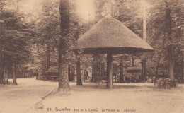 BRUXELLES  BOIS DE LA CAMBRE - Bruxelles-ville