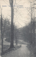 BRUXELLES  BOIS DE LA CAMBRE - Bruselas (Ciudad)