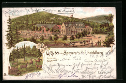 Lithographie Heidelberg, Gasthaus Speyerers-Hof  - Heidelberg