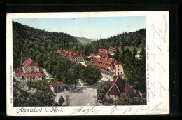 AK Alexisbad I. Harz, Ortsansicht Aus Der Vogelschau  - Autres & Non Classés