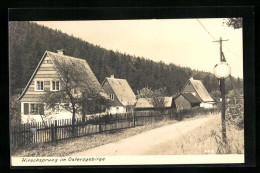 AK Hirschsprung Im Osterzgebirge, Wohnhäuser Und Gehweg  - Other & Unclassified