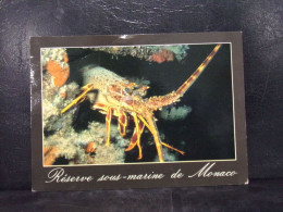 536 . RESERVE SOUS MARINE DE MONACO . LANGOUSTE . PALINARUS VULGARIS - Poissons Et Crustacés