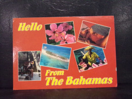 539 . HELLO FROM THE BAHAMAS . - Bahamas