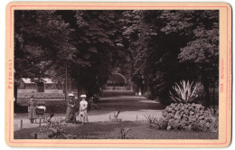 Fotografie Römmler & Jonas, Dresden, Ansicht Pyrmont, Im Park Am Spielplatz Mit Blick Zum Musikpavillon  - Lieux