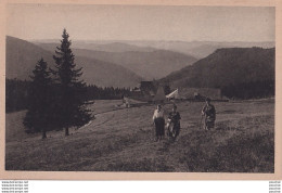 O7- FELDBERG  1500 M  (SCHWARZWALD) SUDL - PANORAMA TODTNAUHUTTE U. D. ALPEN -( ANIMATION - 2 SCANS ) - Feldberg