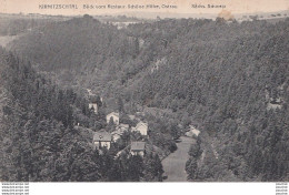 J15- KIRNITZSCHTAL - BLICK  VOM RESTAUR . SCHONE HOHE , OSTRAU -  ( 2 SCANS ) - Kirnitzschtal