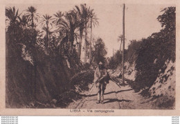 J14- LIBIA (LIBYE ) VIA CAMPAGNOLA - ( 2 SCANS ) - Libye