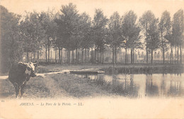 80-AMIENS-PARC DE LA HOTOIE-VACHE-N 6011-B/0147 - Amiens