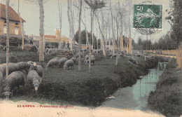 91-ETAMPES-PROMENADE DES MOUTONS DANS LES PRES-N 6011-H/0389 - Etampes