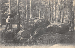 35-FOUGERES-FORET-LE DOLMEN-N 6011-H/0097 - Fougeres