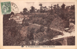 19-TREIGNAC-ROUTE DE CHAMBERET-N 6011-F/0319 - Treignac