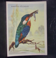 587 .  VIEUX PAPIER . COLLECTION BISCOTTES CLEMENT . MARTIN PECHEUR . OISEAU - Autres & Non Classés