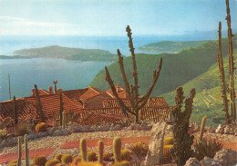 06-EZE-N°4020-C/0115 - Eze