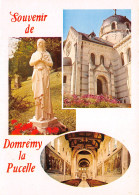 88-DOMREMY LA PUCELLE-N°4020-A/0377 - Domremy La Pucelle