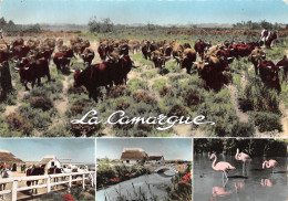 13-LA CAMARGUE-N°4020-A/0331 - Other & Unclassified