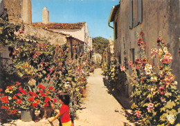 17-ILE DE RE-N°4020-A/0249 - Ile De Ré