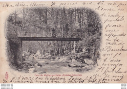 P15-66) MOLITG LES BAINS (PYRENEES ORIENTALES) LE PARC  - ( OBLITERATION DE 1904 - 2 SCANS ) - Other & Unclassified