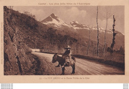 P13-15) PUY GRIOU ET HAUTE VALLEE DE LA CERE - ( ANIMEE - ANE - 2 SCANS ) - Autres & Non Classés