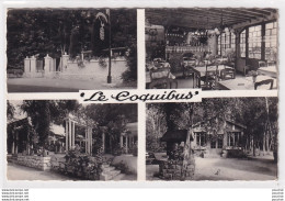 P12-91) MILLY LA FORET  - " LE COQUIBUS " AUBERGE EN FORET - TERRASSE - FACADE - SALLE A MANGER ET BANQUET - ( 2 SCANS ) - Milly La Foret