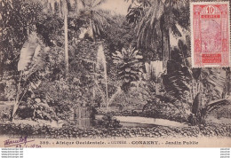 P8- AFRIQUE - GUINEE FRANCAISE - CONAKRY - LE JARDIN PUBLIC - Guinée Française