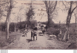 P3-22) PLENEUF - CHEMIN DU VAUCLAIR - (  PERSONNAGES AVEC TROUPEAU DE VACHES ET AGNEAU - 2 SCANS ) - Pléneuf-Val-André