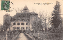 15-LA CHATAIGNERAIE-CHATEAU DU TRIOULOU-N 6012-G/0143 - Autres & Non Classés