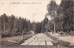 88-GERARDMER-BLANCHISSAGE DE TOILES SUR LE PRE-N 6013-B/0219 - Gerardmer