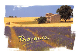 13-PROVENCE-N°4022-C/0297 - Other & Unclassified