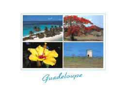 971-GUADELOUPE-N°4022-C/0279 - Autres & Non Classés