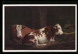 AK Zwei Liegende Kühe Im Stall  - Vaches