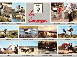 13-CAMARGUE-N°4023-D/0035 - Other & Unclassified