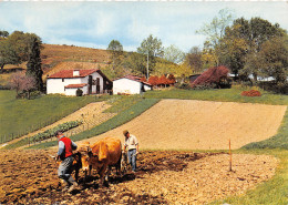 64-PAYS BASQUE-N°4023-C/0277 - Sonstige & Ohne Zuordnung