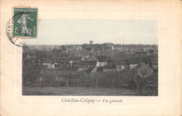 45-CHATILLON COLIGNY-N 6013-H/0365 - Chatillon Coligny