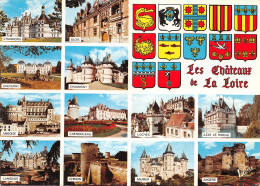 37-CHATEAUX DE LA LOIRE-N°4024-B/0369 - Autres & Non Classés