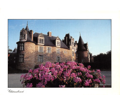44-CHATEAUBRIANT-N°4024-B/0069 - Châteaubriant
