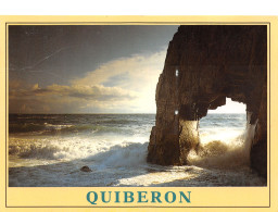 56-QUIBERON-N°4024-B/0037 - Quiberon