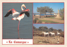 13-LA CAMARGUE-N°4024-B/0039 - Other & Unclassified