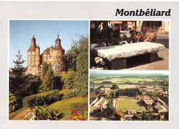 25-MONTBELIARD-N°4025-A/0197 - Montbéliard