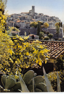 06-SAINT PAUL DE VENCE-N°4024-D/0245 - Saint-Paul